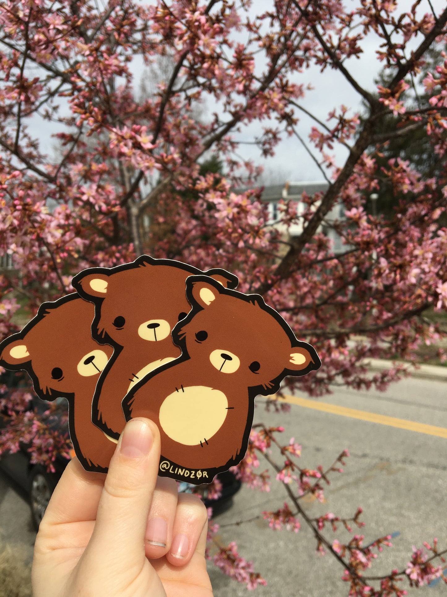Bear sticker